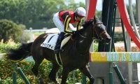 【京都2歳S予想】昨年はシンエンペラーが勝利 中距離路線のホープ集う一戦に