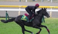 【競馬予想】ＧＩジャパンカップに挑む評判の外国馬--本気で勝ちに来たのはどの馬だ