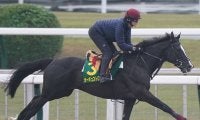 【競馬血統予想】ビッグネーム集結のジャパンカップで注目はディープインパクト産駒　出走する２頭の信頼度は？