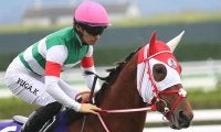 【チャレンジC想定馬・騎手】ラヴェル、コガネノソラなど16頭