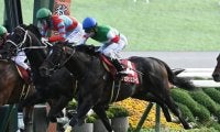【ステイヤーズS想定馬・騎手】シュヴァリエローズ、アイアンバローズなど12頭