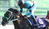 きょうだいたちは新馬戦で8割連対！ 08年秋華賞馬の仔がT.マーカンド騎手を背に初陣V飾るか