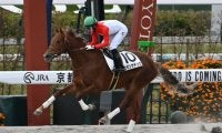 【京都4R新馬戦結果】ルヴァンスレーヴ産駒セボンサデッセが好位抜け出しV