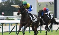 【京都6R新馬戦結果】リスグラシューの半弟ネブラディスクが突き抜け快勝