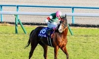 【先週のJRA抹消馬】昨年のマイルCS覇者ナミュール、今年のヴィクトリアM2着馬フィアスプライドなど