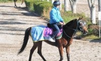 98年オークス馬エリモエクセルの孫 黒岩厩舎のピコラ/関東馬メイクデビュー情報