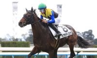 【新馬/京都6R】リスグラシュー半弟 ネブラディスクがデビューV