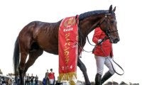 稀有の決め手でジャパンC制したドウデュース 「母の脚力」×「父のスタミナ」が生んだ爆発的な加速力
