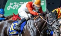 チャンピオンズC史上2頭目の牝馬戴冠へ 9年ぶりの偉業に今年重賞2勝挙げるコンビが挑む