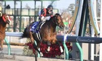 種牡馬として好スタートのルヴァンスレーヴ キャリア唯一のJRA・GI制覇