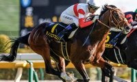 超高額4.5億円馬 チャレンジCで史上最高額のJRA重賞勝ち馬となるか