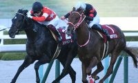 20年デイリー杯2歳S覇者レッドベルオーブが登録抹消 アロースタッドで種牡馬入りへ