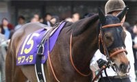 朝日杯FS覇者サリオスの全妹 サフィラがC.デムーロ騎手との新コンビで1年2カ月ぶりV狙う