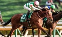 【チャレンジC予想】前走同距離もしくは距離延長の馬に勝機あり!? 距離短縮の馬はスピード能力の高さや強力な末脚が必要不可欠