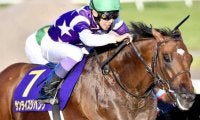 今週の武豊騎手は12鞍 サンライズジパングでチャンピオンズC“初勝利”なるか