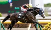 【チャレンジC予想】3歳馬優勢の一戦 25年中距離戦線の有力候補に名乗りを上げるのは？