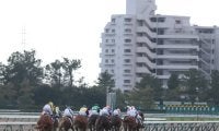 【中京5R新馬戦結果】ドレフォン産駒フィングステンが押し切り勝ち