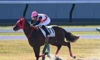 【京都4R新馬戦結果】パドトロワ産駒ナリノエンブレムが逃げ切り完勝
