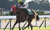 【チャレンジC結果】牝馬ラヴェルが完勝！ 22年アルテミスS以来の重賞2勝目