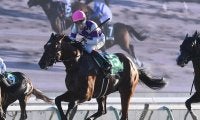 【競馬血統予想】チャンピオンズカップはキズナ産駒が圧倒的　今年のレースに出走する２頭は信頼できる？