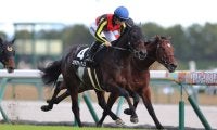 【こうやまき賞】カラマティアノスが2連勝