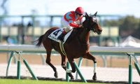 【中京4R】外国産ラージギャラリーが3馬身差完勝