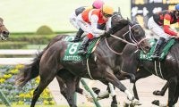 【阪神JF出走馬決定順】ショウナンザナドゥら400万円組で9分の2抽選