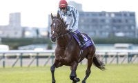 【有馬記念想定】ドウデュース、ダノンデサイルなど23頭