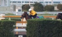 ベラジオオペラ、有馬記念2週前追い切り速報/栗東トレセンニュース