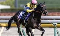 3歳マイル王が海外初参戦 NHKマイルC以来7カ月ぶり実戦で香港マイルに挑む