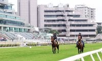 堀宣行厩舎の豪華2頭併せが香港で実現！ 切磋琢磨でビッグタイトル獲得へ