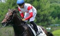 中内田充正厩舎の3.1億円馬、今度こそ初勝利なるか デビュー戦3着からの巻き返しへ