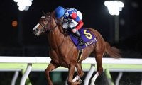 【大井・ジェムストーン賞結果】5番人気のプリムスパールスが4馬身差逃げ切りV！