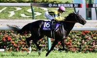 【香港国際競走 】ジャンタルマンタルは好仕上がり…香港マイル出走予定