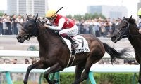 【競馬血統予想】京都開催の阪神ジュベナイルフィリーズは、「２歳戦の実績」を重視して２頭をピックアップ
