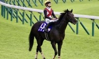 【香港国際競走】ルガル・杉山晴師「引けは取らない」…香港スプリント出走