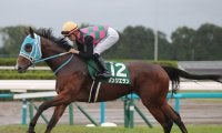 【競馬予想】阪神JFの穴馬を見つけた！ 信頼性高い直近データから導いた２頭