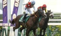 2歳マイル王者決定戦・朝日杯FSと地方では全日本2歳優駿/今週の競馬界の見どころ