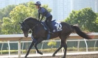 【香港マイル】池江師「よく頑張りました」ソウルラッシュは惜しい2着