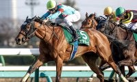 【ターコイズS想定騎手】ミアネーロはC.ルメール騎手、ドゥアイズはC.デムーロ騎手