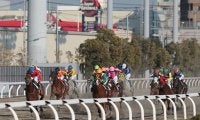 【川崎・全日本2歳優駿結果】牝馬のミリアッドラヴが無傷3連勝で戴冠