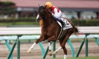 武豊騎手 今週の騎乗馬…朝日杯FSはアルテヴェローチェとのコンビ