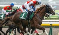 重賞馬4頭参戦の朝日杯FS 割って入るのは“前走新馬or未勝利組”？