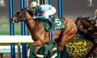 【ターコイズS予想】高期待値が見込める4歳馬に注目！ 3歳馬はこれまでのキャリアや前走での経験が好走の鍵を握る