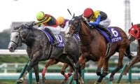 【阪神C想定馬・騎手】ママコチャ、ナムラクレアなど25頭