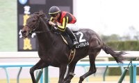 【競馬血統予想】初の京都開催の朝日杯FSは、先週に続いて「２歳戦の実績」から２頭を選ぶ