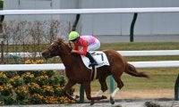 【京都6R新馬戦結果】ペイシャヴァルツーが9馬身差で圧勝 オーヴァルエース産駒のJRA初勝利