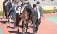 【中京7R】未勝利馬アークドールが初勝利…逃げ馬にアクシデントも