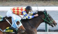 望月洵輝騎手 JRA初勝利