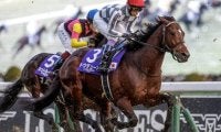 一年の総決算 グランプリ・有馬記念など3重賞/今週の競馬界の見どころ